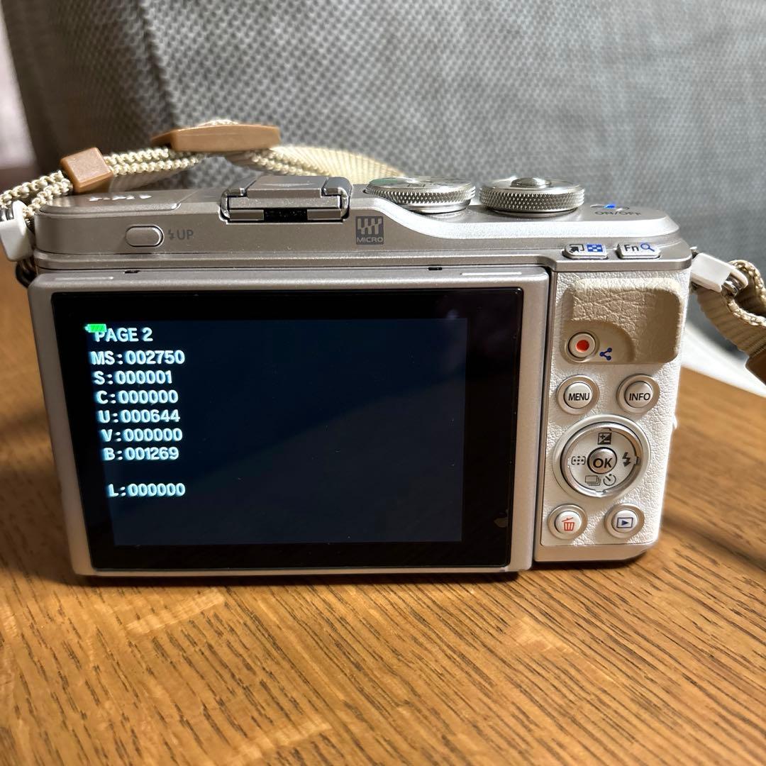 OLYMPUS オリンパス PEN E-PL9 ミラーレス一眼カメラ　ケース付