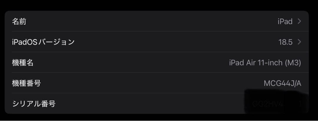 iPadAir11インチWi-Fi+Cellular512GB MCG44J/A