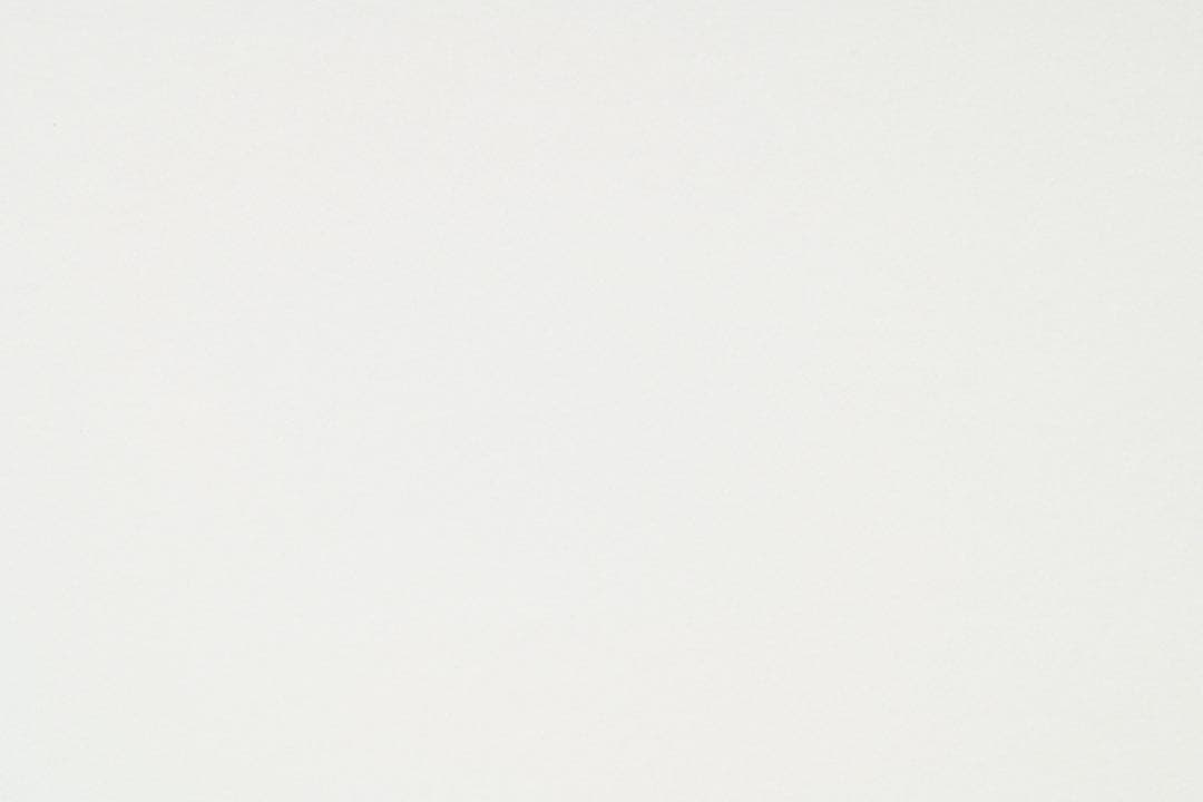 レンズ(単焦点) Makro Planar T* 2/100 ZF.2