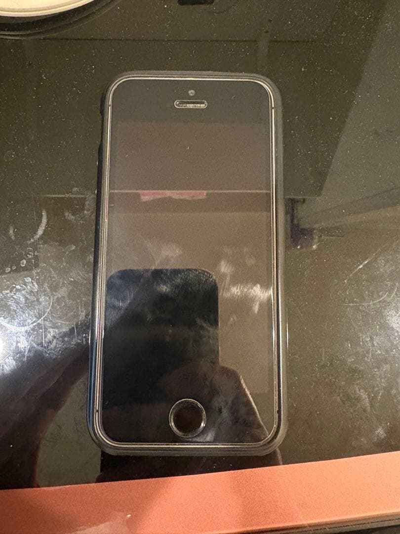 Apple iPhone SE シルバー/ブラック ケース付き