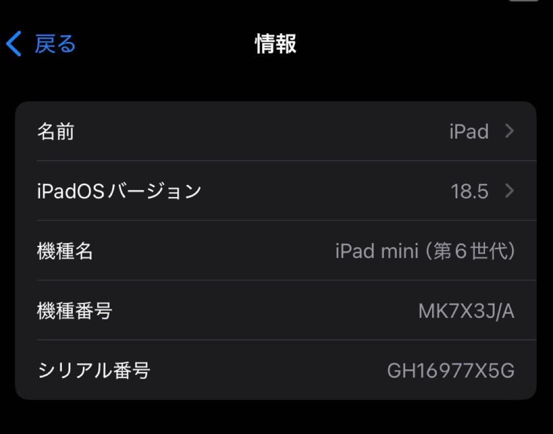 iPad mini 6 256GB Wi-FiモデルApple Pencil付き