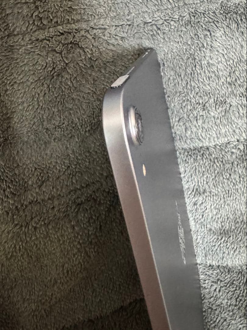 iPad mini 6 256GB Wi-FiモデルApple Pencil付き