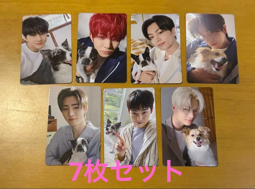 ENHYPEN アンケートトレカ　コンプ　セット　2025