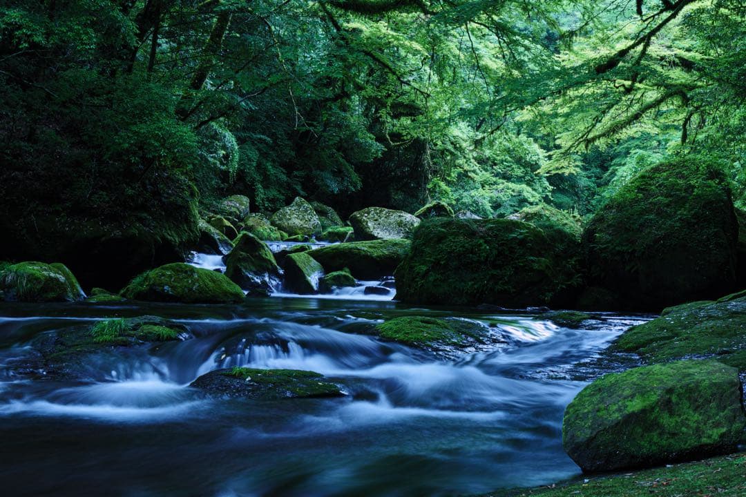 デジタルカメラ LUMIX DMC-GX8