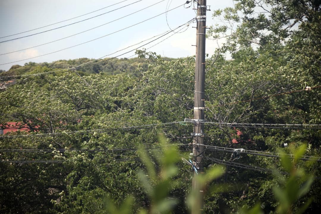 レンズ(単焦点) CANON NEW FD MACRO 100mm f/4 #7428