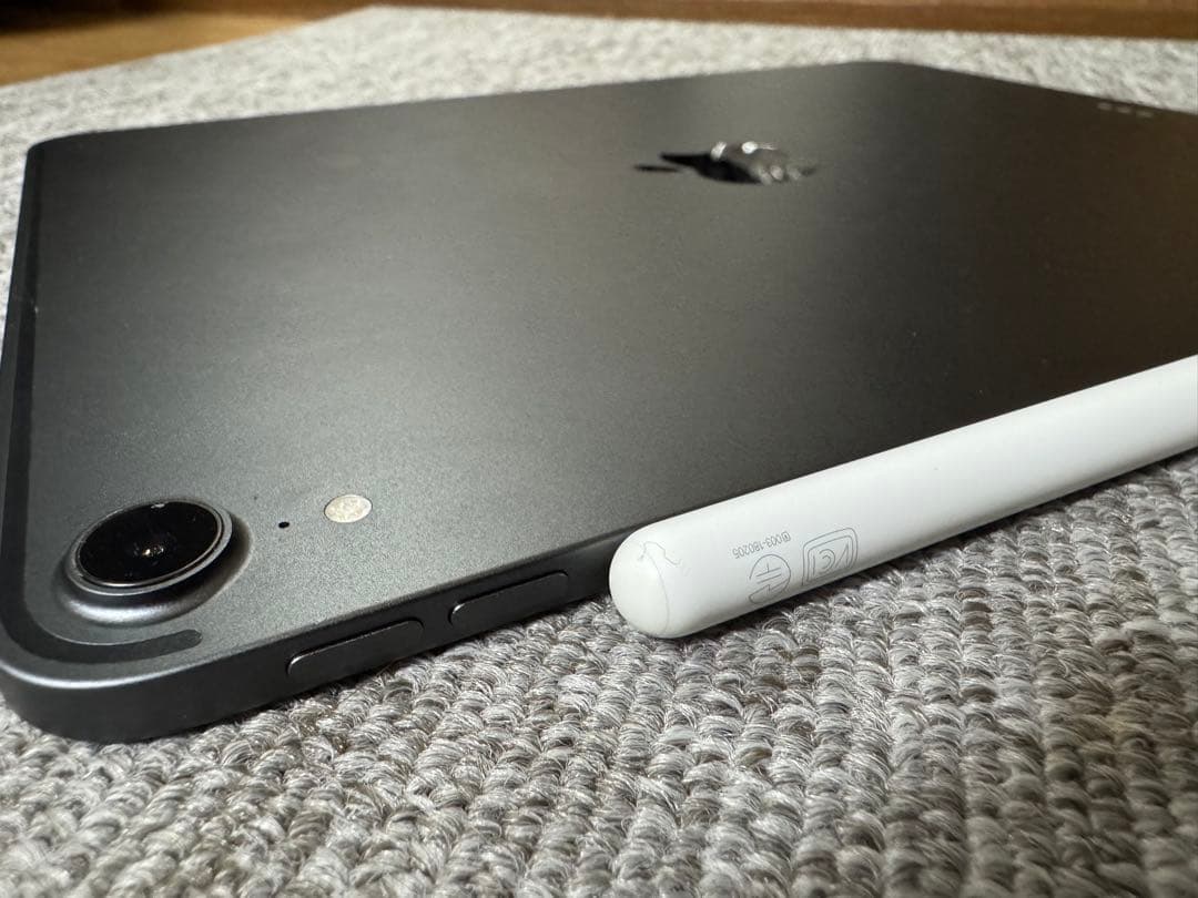 Apple iPad Pro256GB 土日限定価格