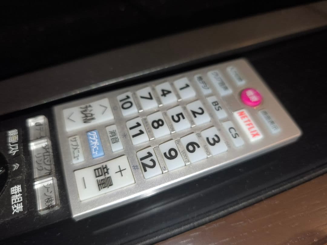 液晶テレビ TOSHIBA REGZA 49G20X 東芝レグザ 49型