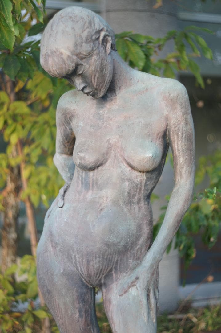 【富岡光学 ヤシカ】 Auto Yashinon DS 50mm F1.9