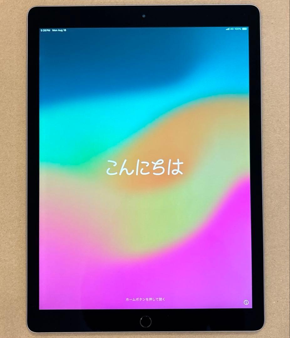 iPad Pro（12.9インチ） Cellular SIM解除済み256GB