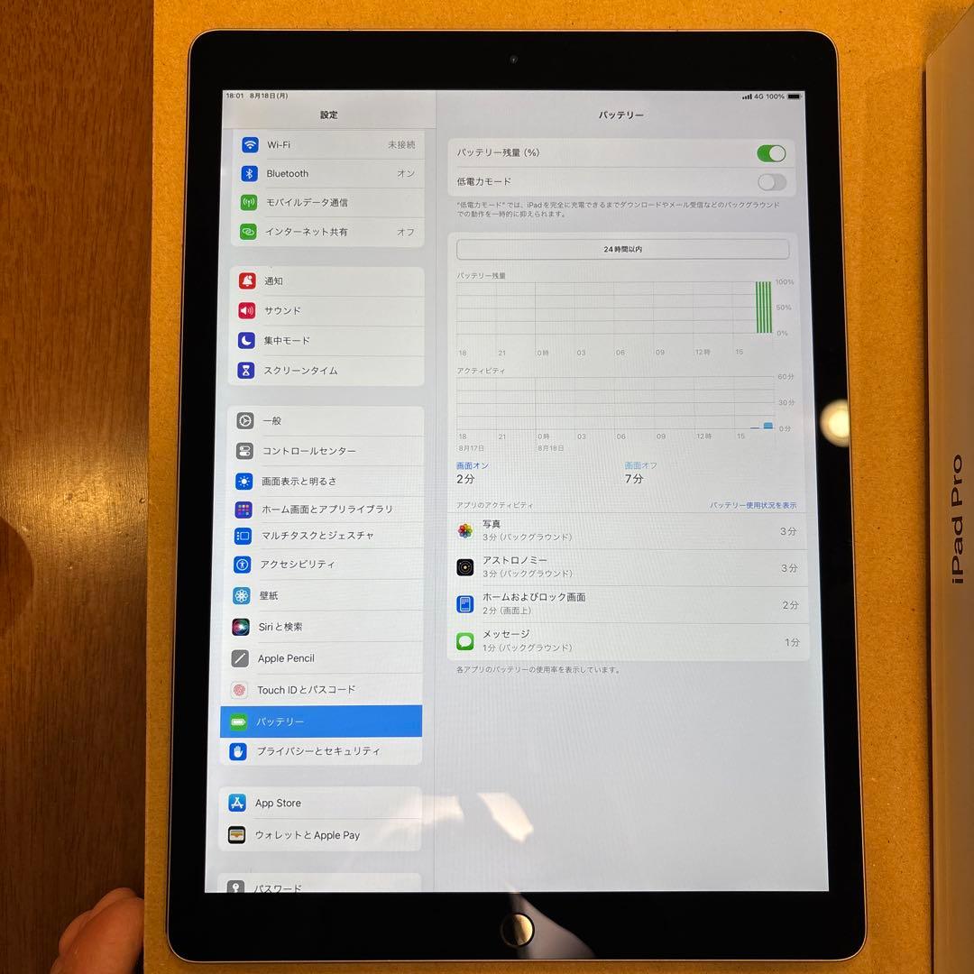 iPad Pro（12.9インチ） Cellular SIM解除済み256GB
