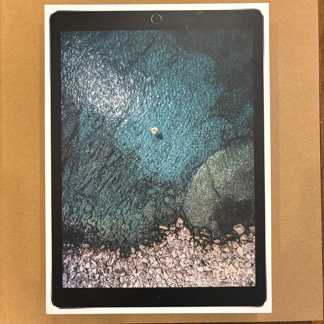 iPad Pro（12.9インチ） Cellular SIM解除済み256GB