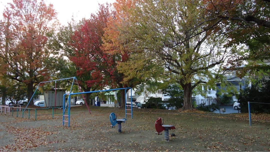 SONY Cyber-shot 14.1メガピクセル