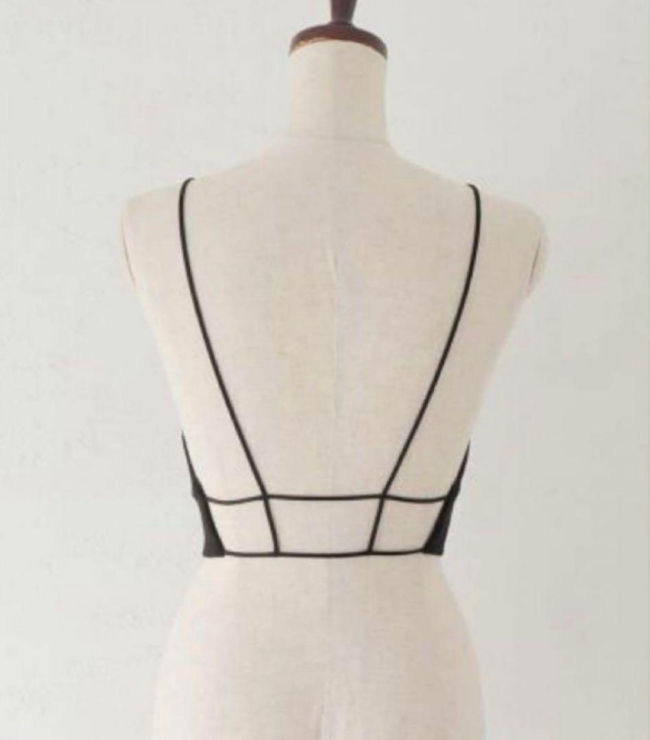 fumie tanaka フミエタナカ ビスチェ plain line cam