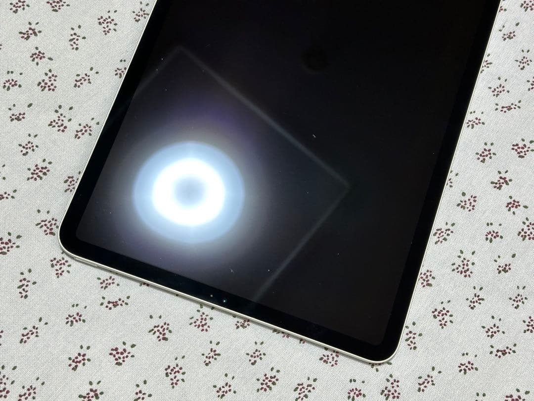 iPad Pro 11インチ (第1世代) 64GB WiFi