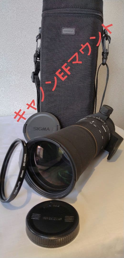 SIGMA APO 170-500mm DG 望遠レンズ
