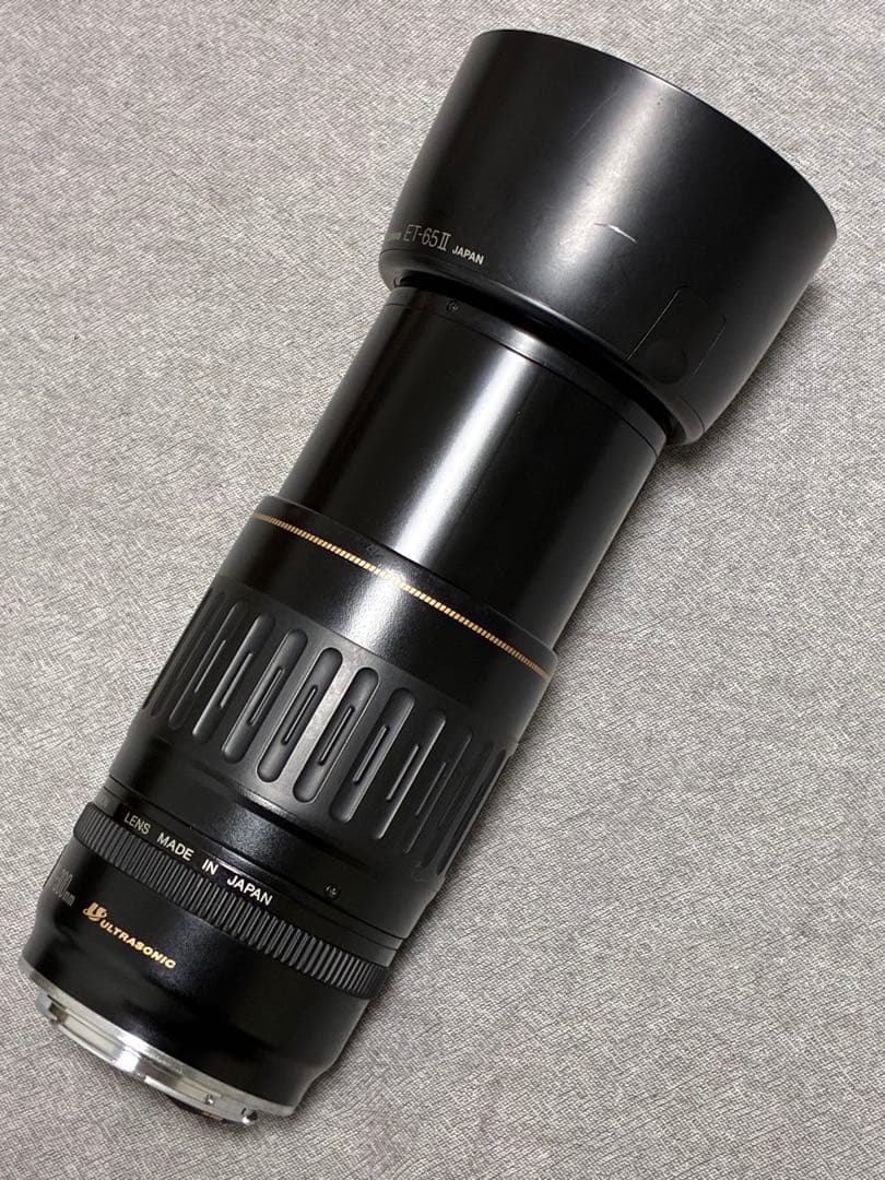 ⭐️美品⭐️キャノンCanon EF 100-300mm 4.5-5.6 USM