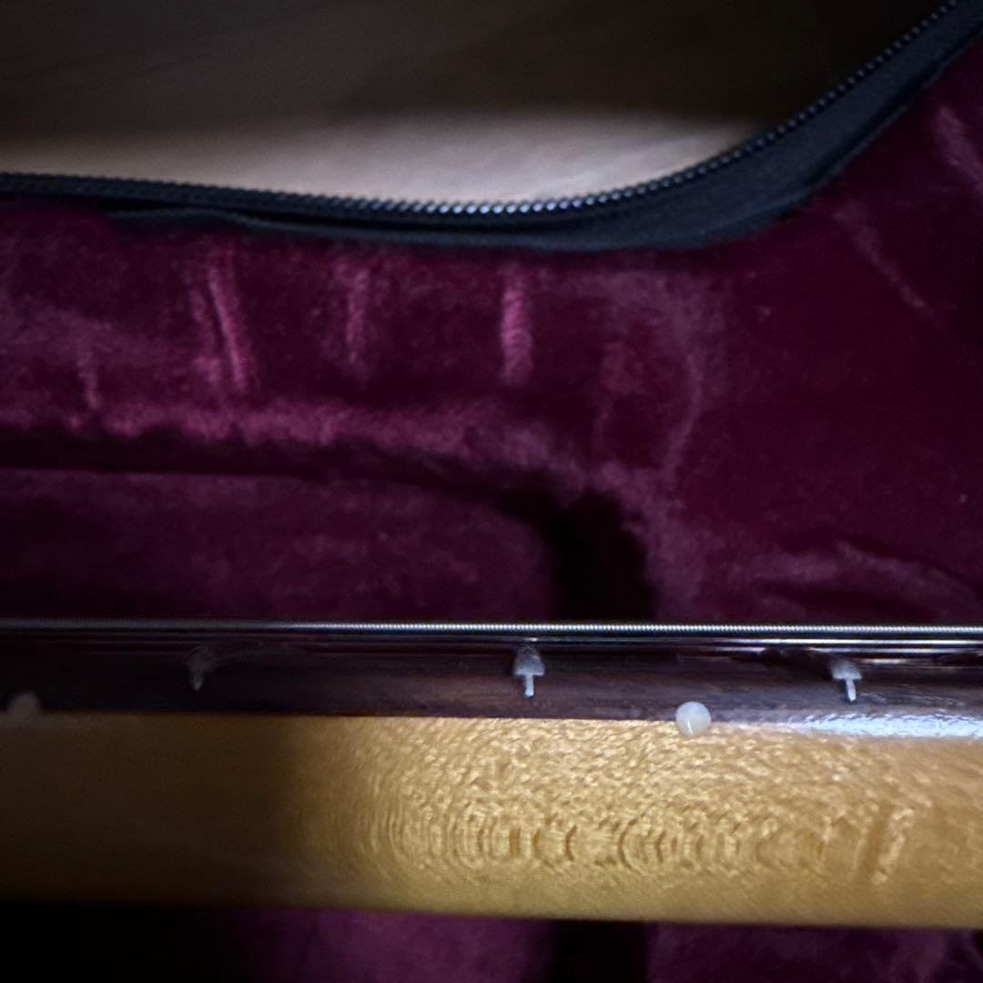 Vanzandt stv-70 エリクサー弦2セット付属