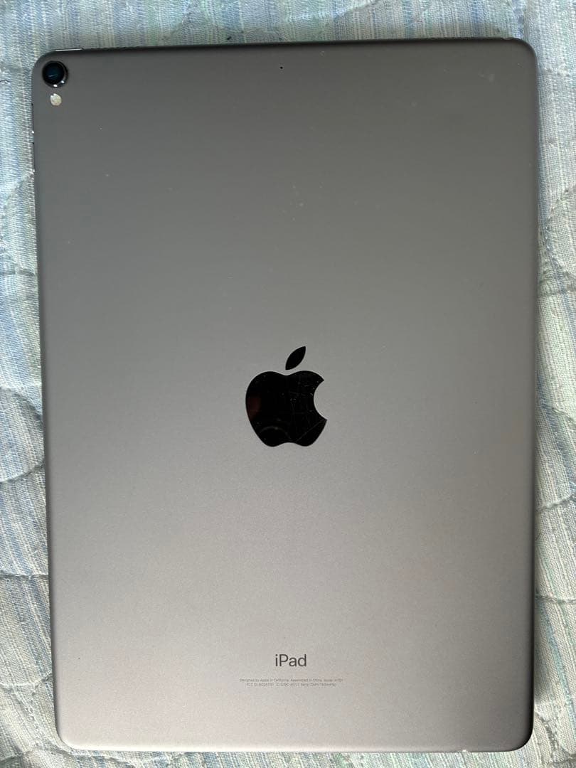 Apple iPad pro 10.5 256gb 本体 セット