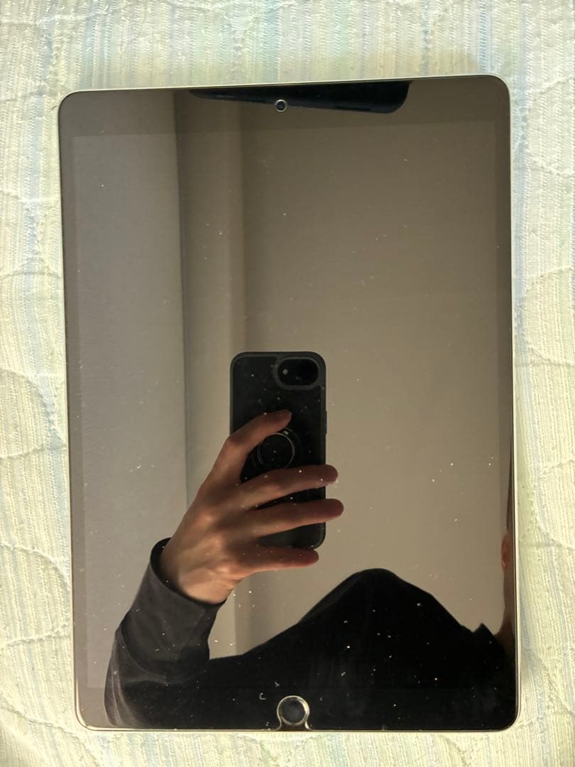 Apple iPad pro 10.5 256gb 本体 セット