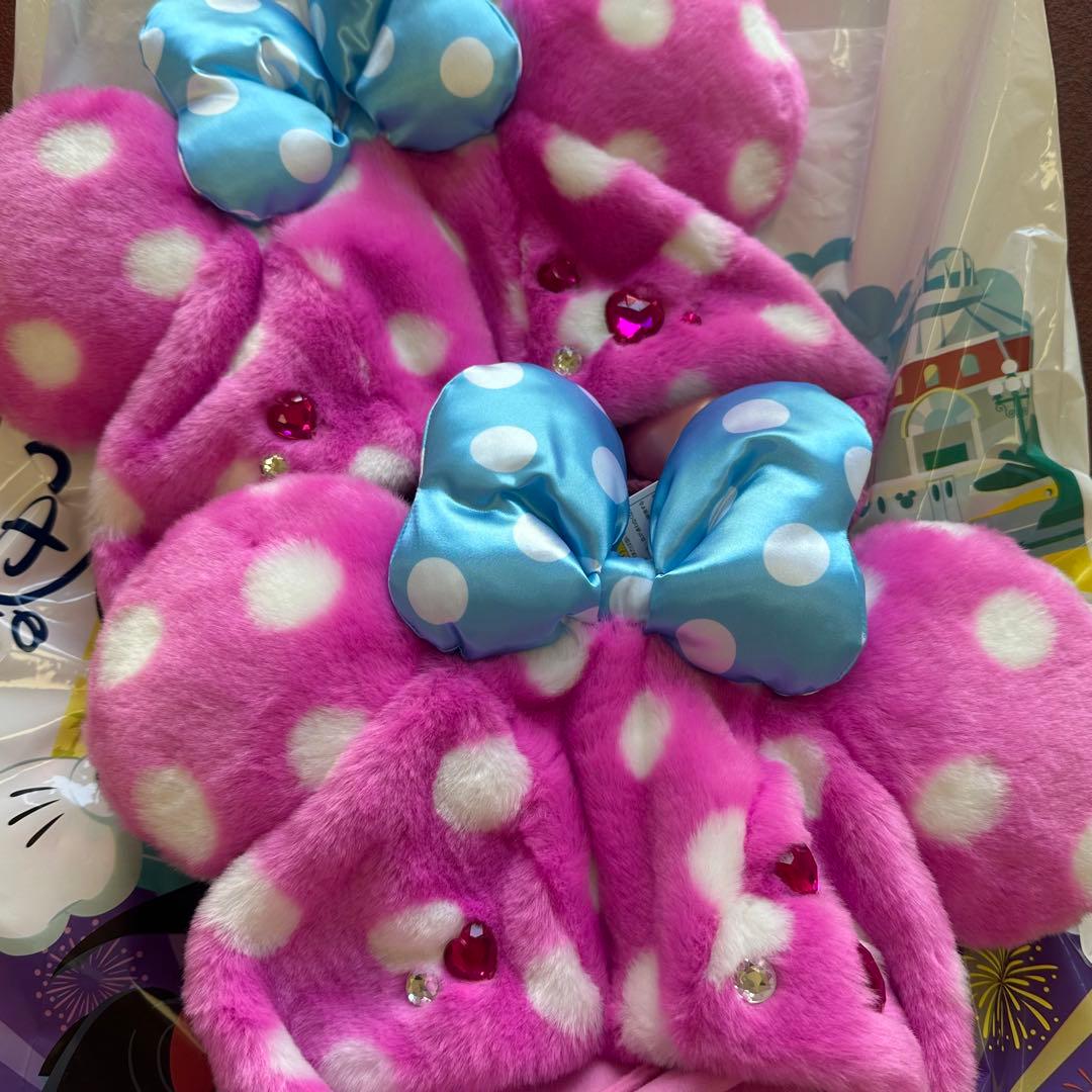 ミニー　ファンダーランド　パルパルーザ　ディズニー　ファンキャップ　2個セット