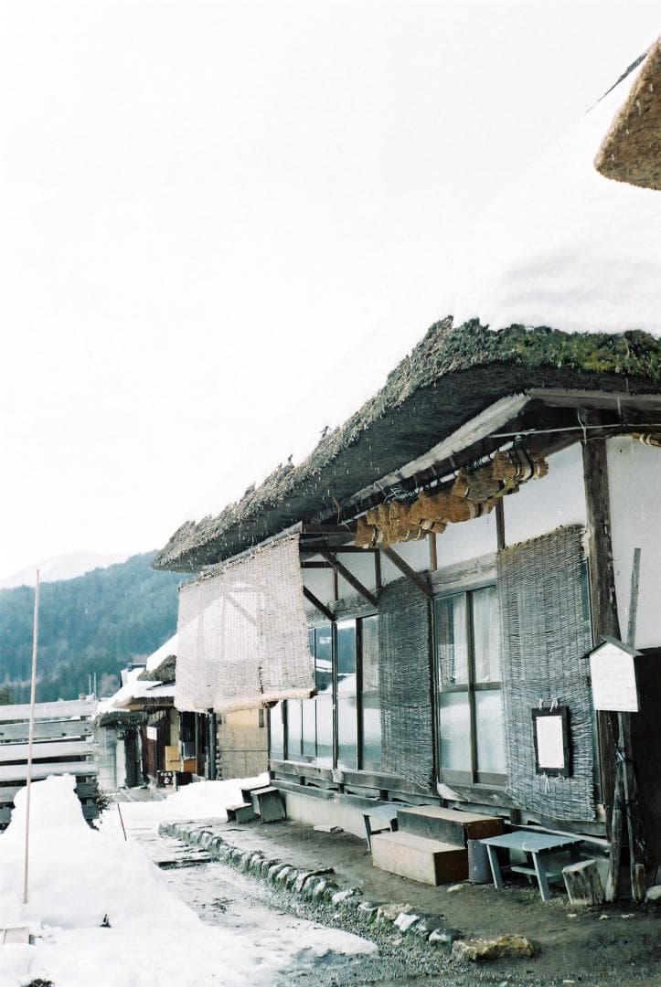 キャノンⅡF〈E・P〉／キャノン50mmf3.5ゼブラ付【実写確認整備品】