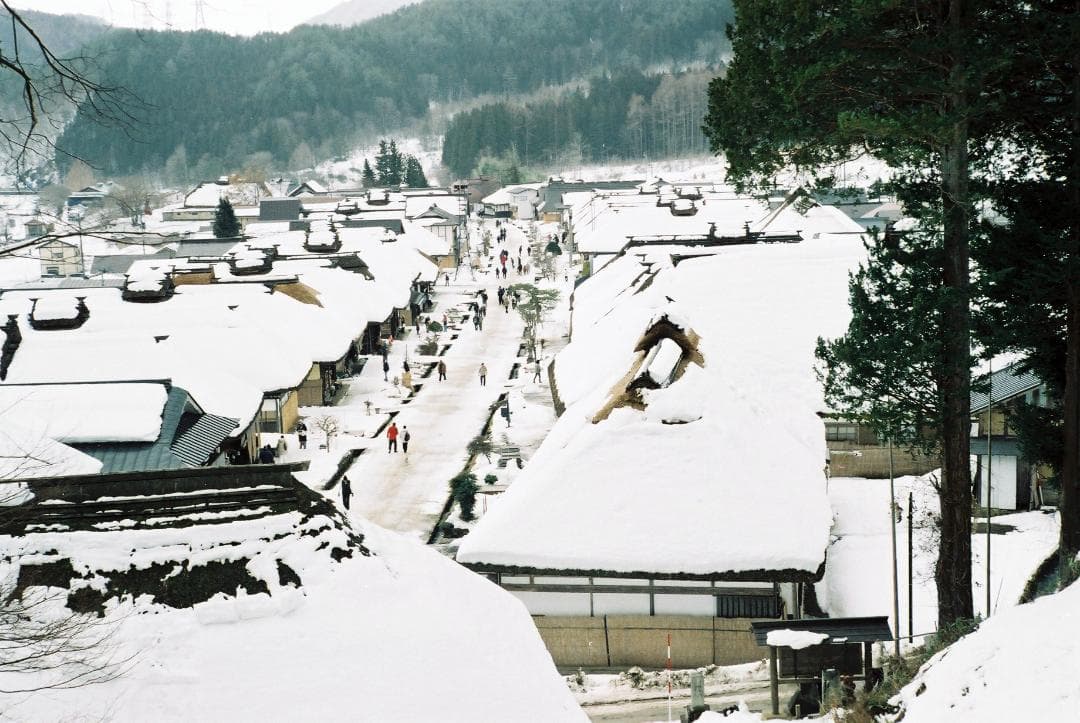 キャノンⅡF〈E・P〉／キャノン50mmf3.5ゼブラ付【実写確認整備品】