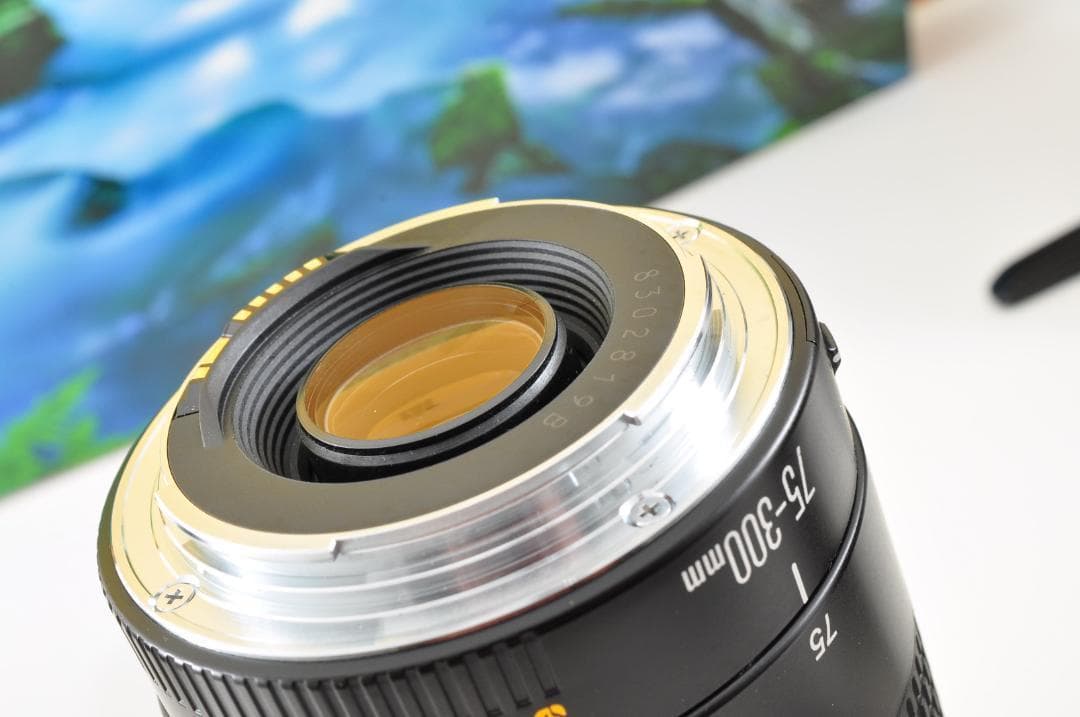 Canon キヤノン 望遠レンズ 迫力の75-300mm レンズフード付き！