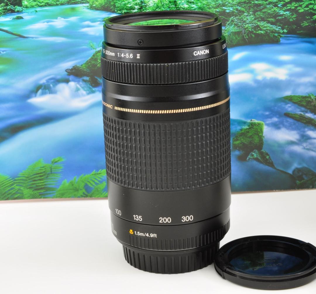 Canon キヤノン 望遠レンズ 迫力の75-300mm レンズフード付き！