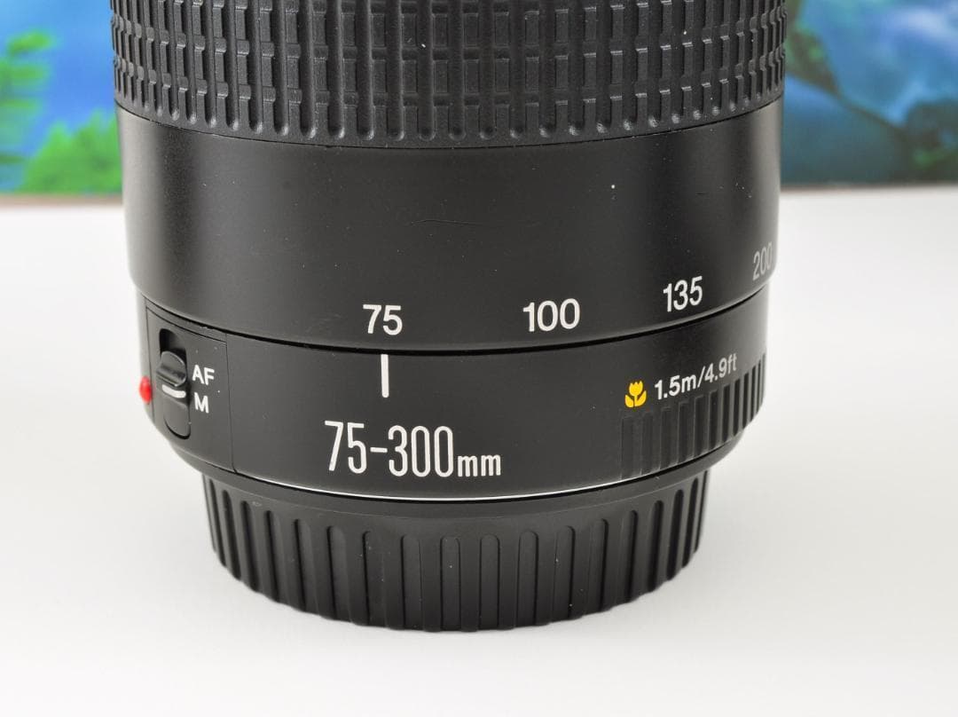 Canon キヤノン 望遠レンズ 迫力の75-300mm レンズフード付き！