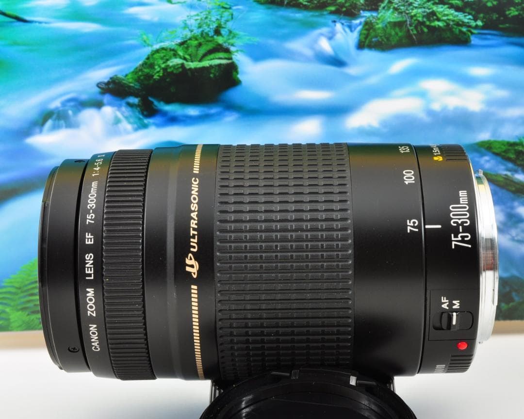 Canon キヤノン 望遠レンズ 迫力の75-300mm レンズフード付き！