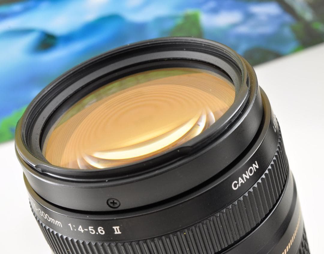 Canon キヤノン 望遠レンズ 迫力の75-300mm レンズフード付き！