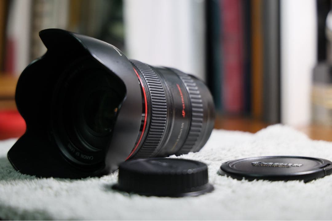 CANON EF24-105mm F4L IS USM 一眼レフ用レンズ