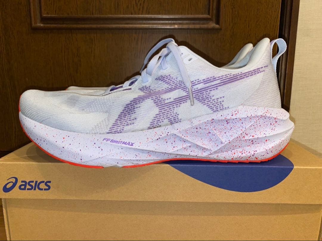 限定カラー アシックス NOVABLAST 5 TOKYO　28.5cm　美品