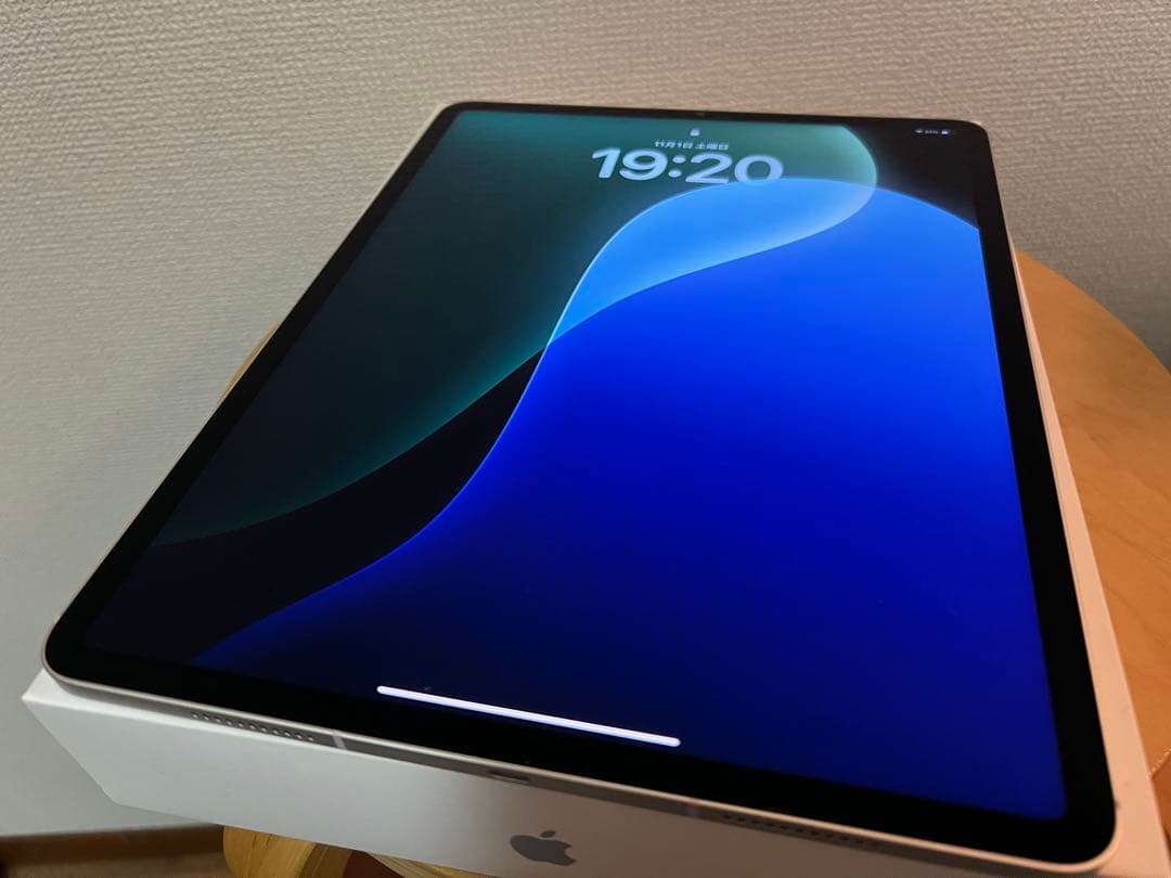 iPad本体 Apple iPad Pro 512GB