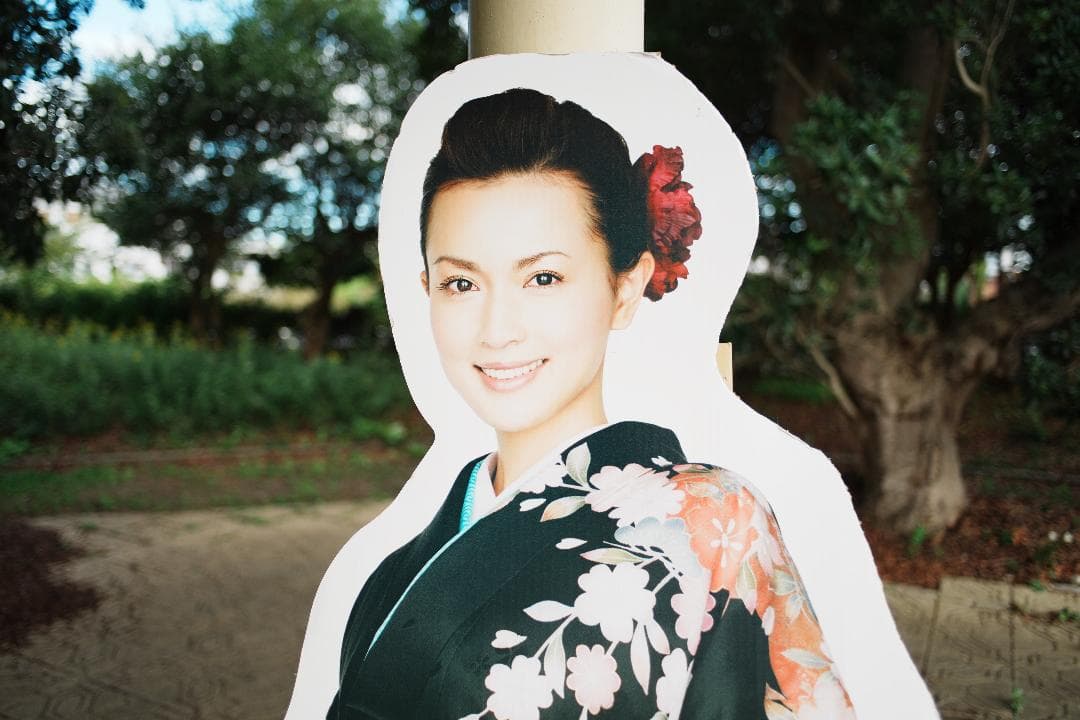 高解像力と優れた描写 Nikon Ai Nikkor 28mm F2.8 275