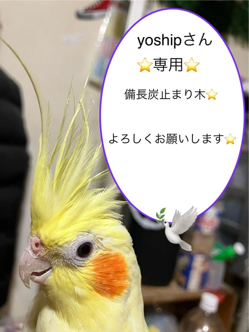 備長炭止まり木⭐️止まり木⭐️パーチ⭐️専用です♪（╹◡╹）♡✨