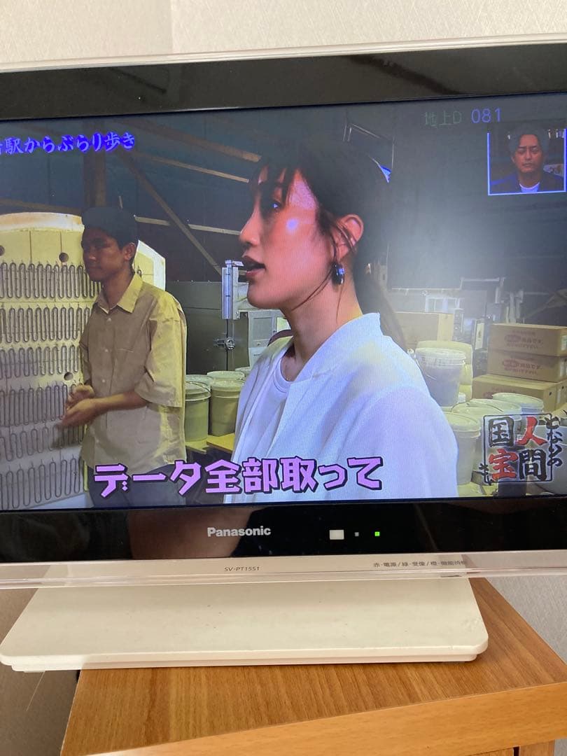 Panasonic ポータブルテレビ & パイオニアBlu-rayプレーヤー