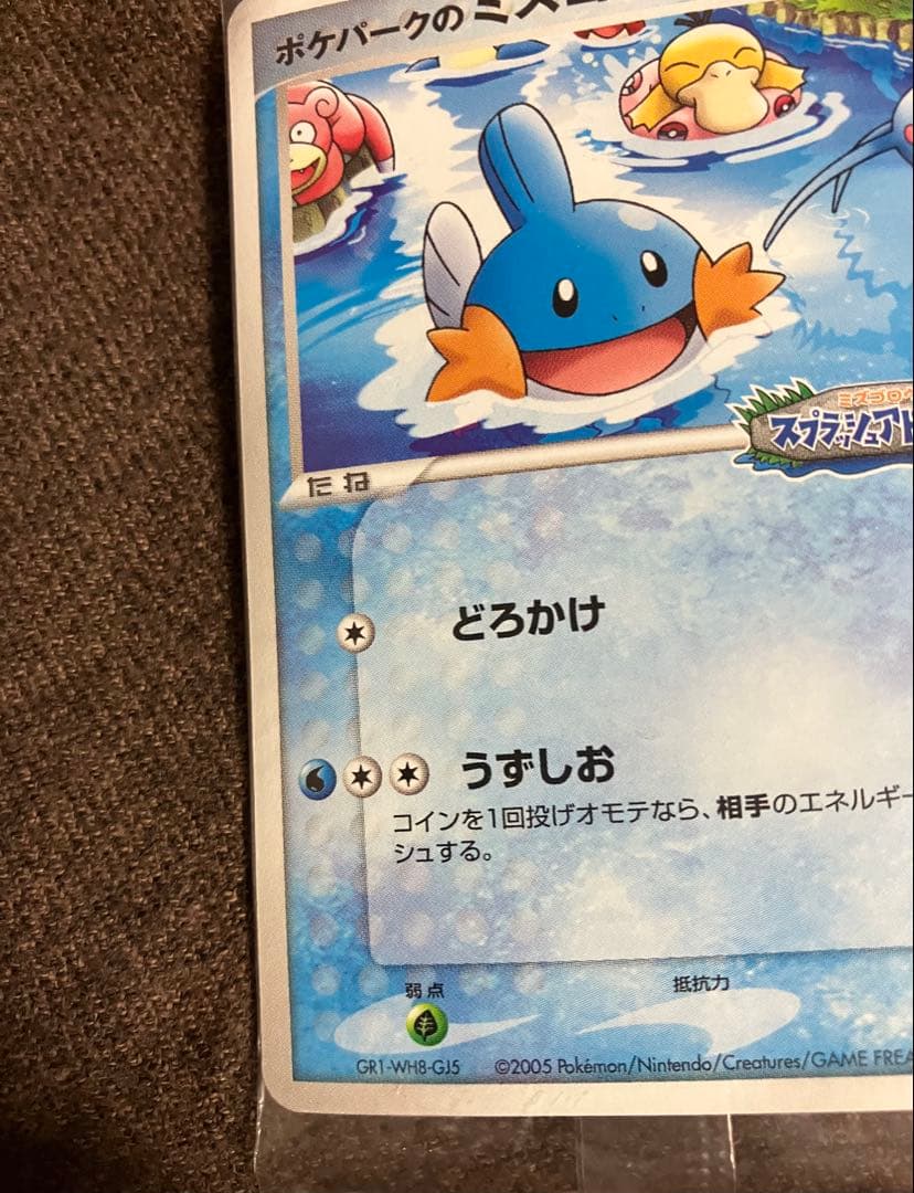 【未開封】ポケパークのミズゴロウ