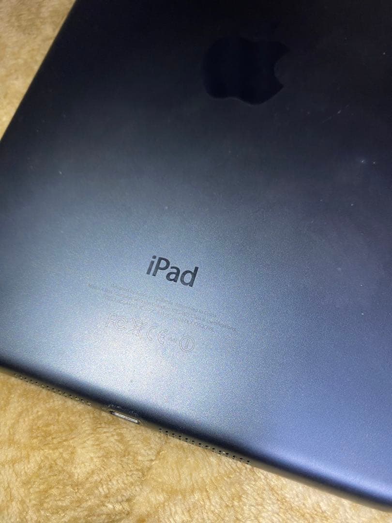 Apple iPad mini 初期型