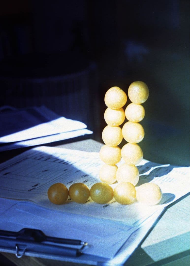 【美品】FUJI 6x9 Pro GW690III 90mm F3.5作例付