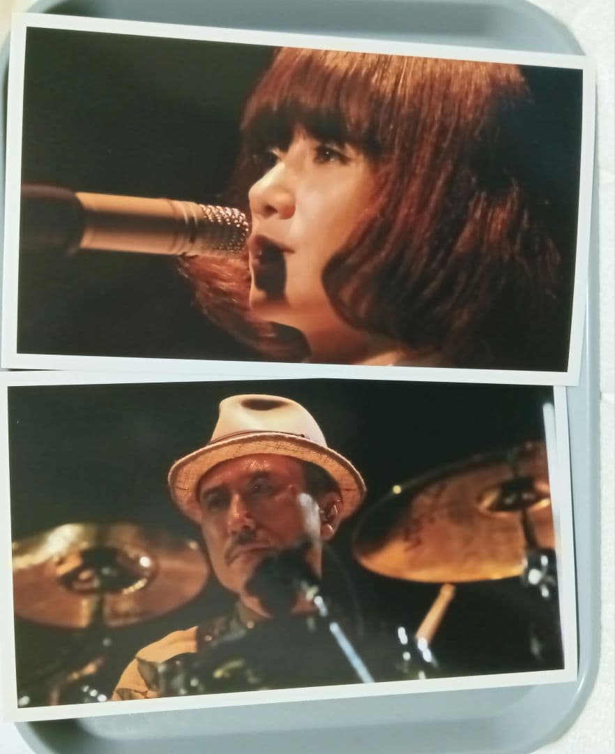 PUPA 2008 LIVE TOUR 非売品DVD 高橋幸宏 原田知世