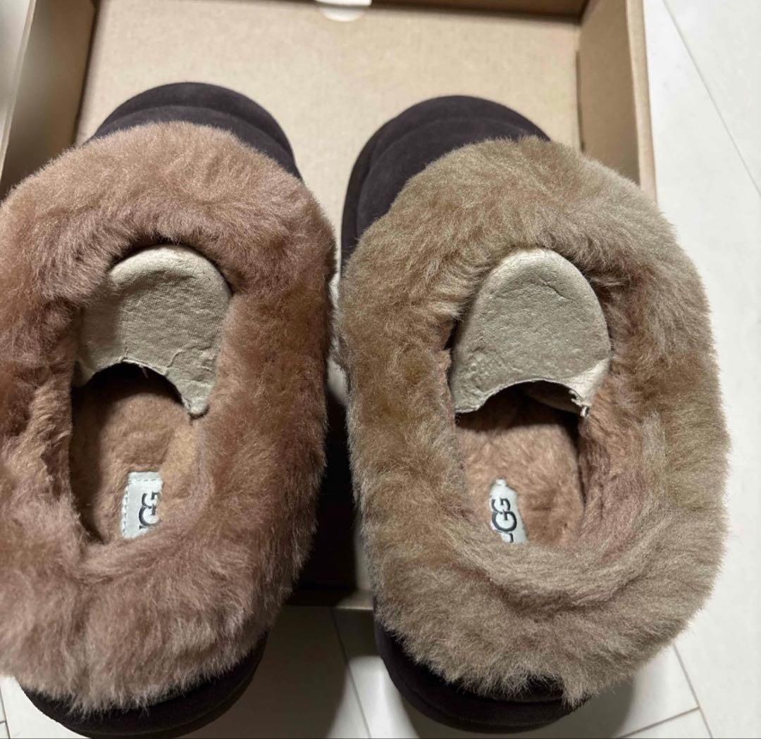 UGG Tazzlita レディースムートンシューズ 24cm
