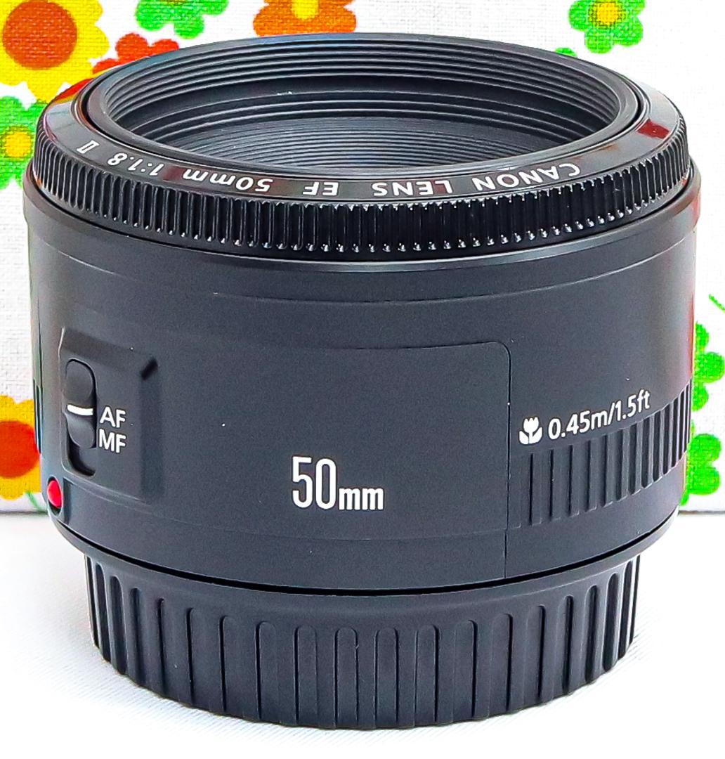 キャノン Canon EF 50mm F1.8 Ⅱ☆単焦点レンズ☆神レンズ