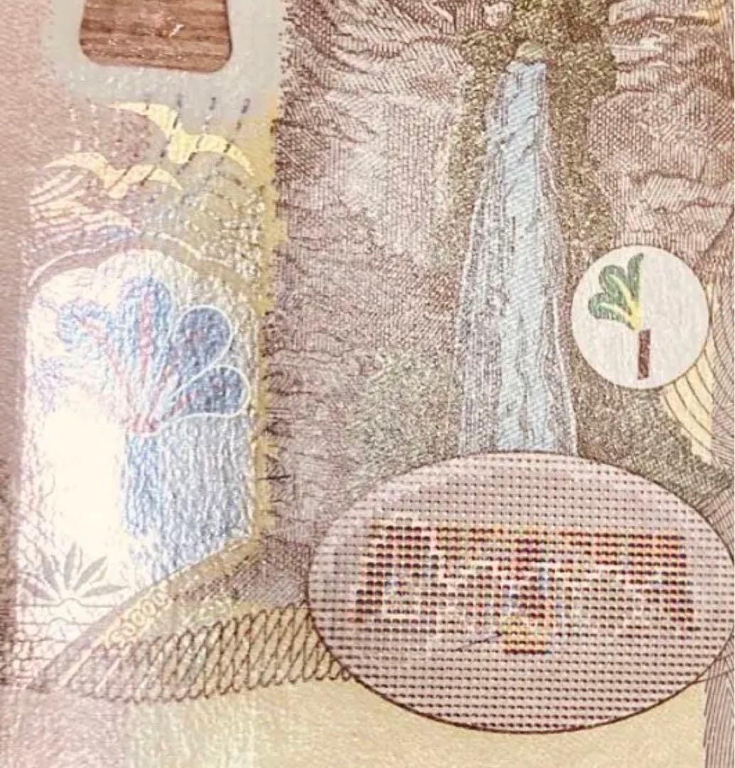 【証明書付き】イラクディナール50000紙幣2枚