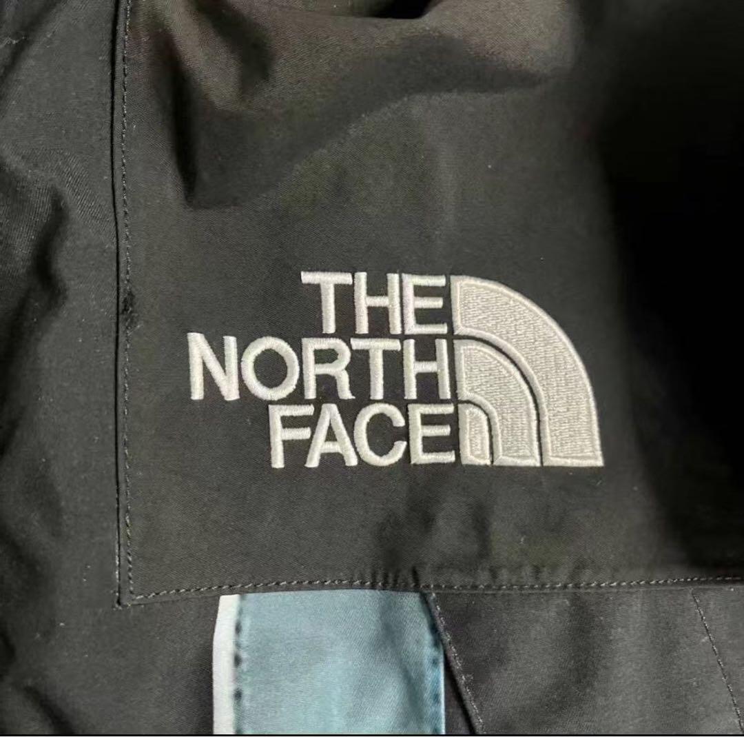 【M】Supreme×The North Face自由の女神 マウンテンパーカー