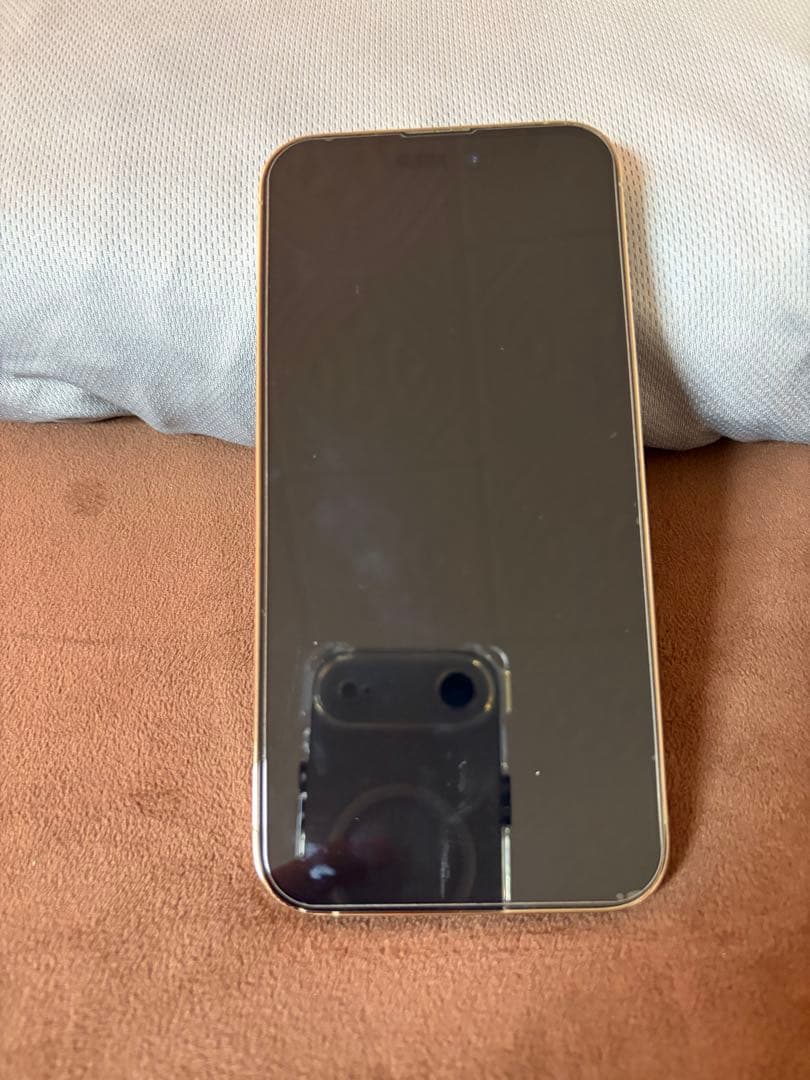 S*a様 iPhone14Pro Max Gold 256GB 本体