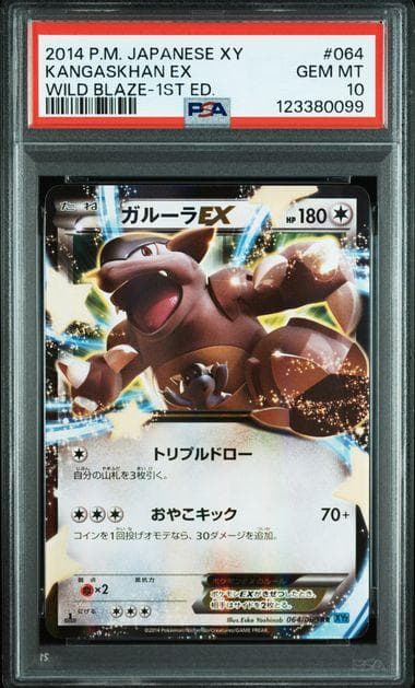 連番 PSA10 MガルーラEX RR XY2ワイルドブレイズ065 064