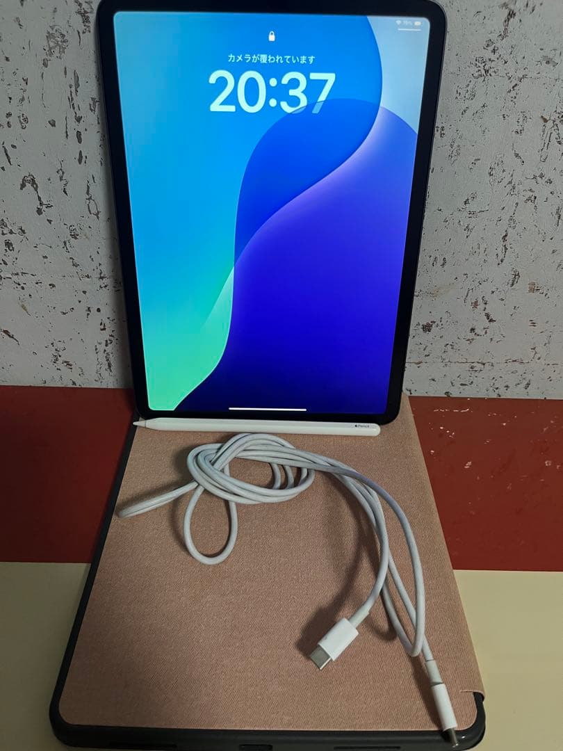 iPadPro 第2世代 11インチ 256GB Appleペンシル2