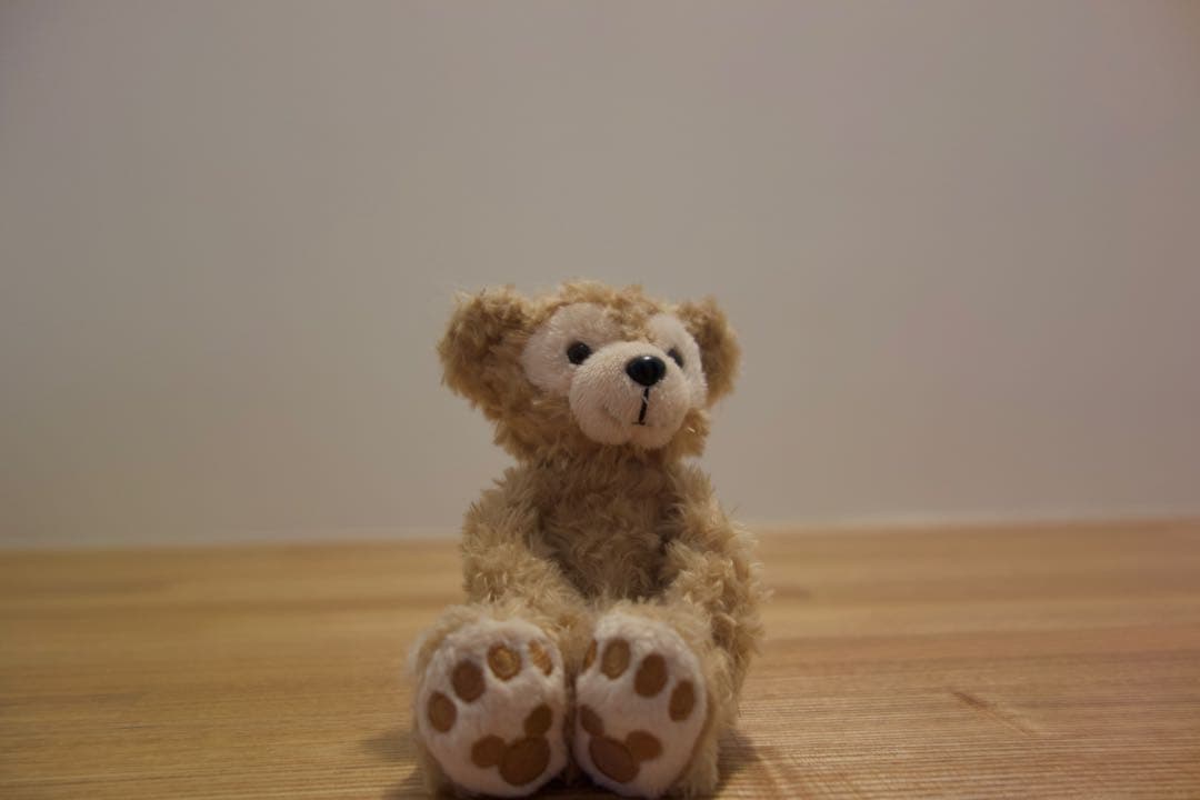 SONY Cyber-shot DSC-RX100（初代モデル)