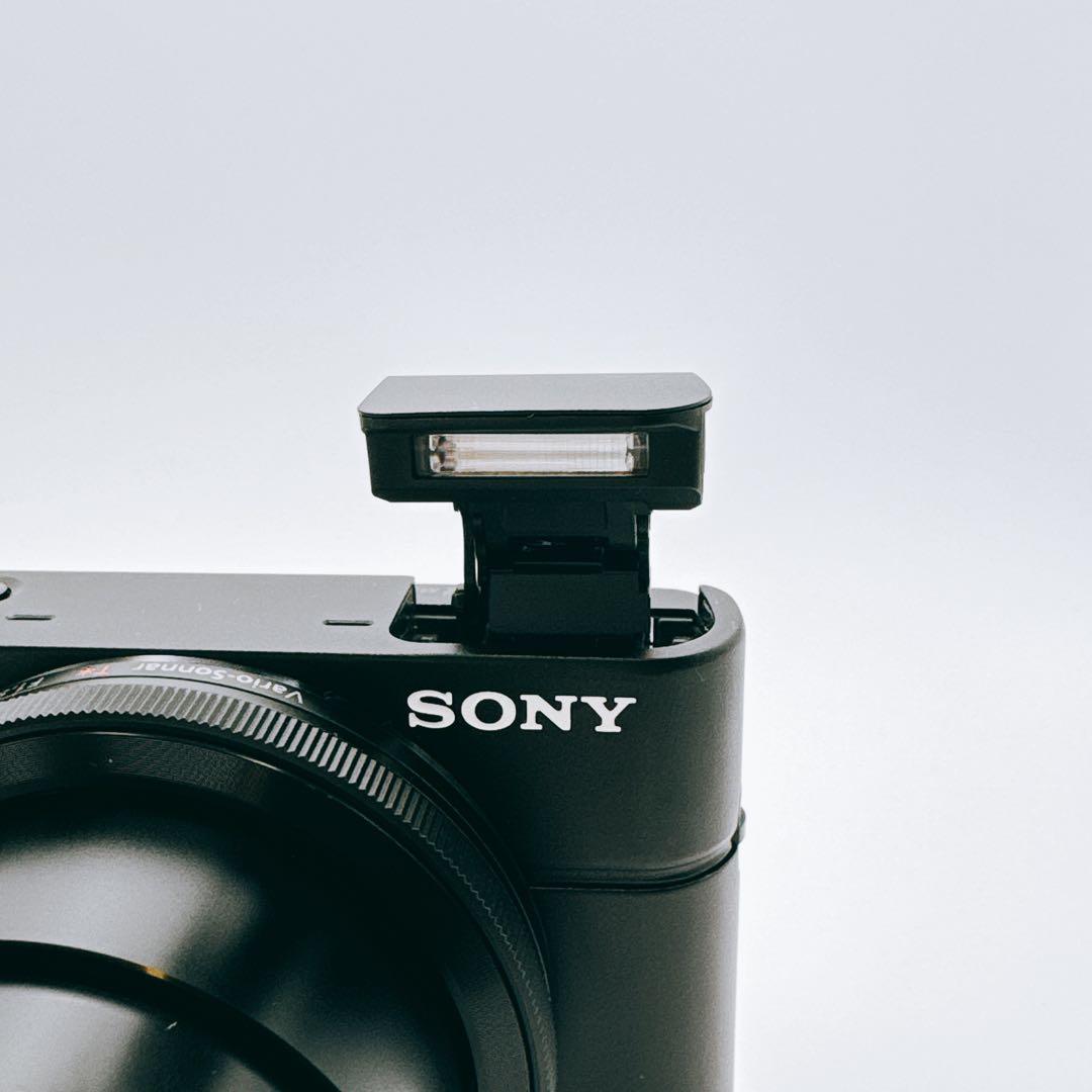 SONY Cyber-shot DSC-RX100（初代モデル)
